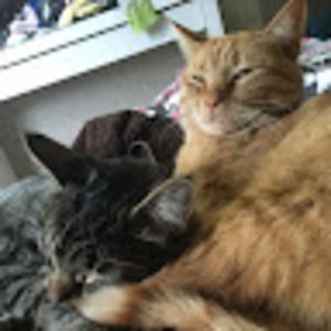 Meet your Posher, Hailey